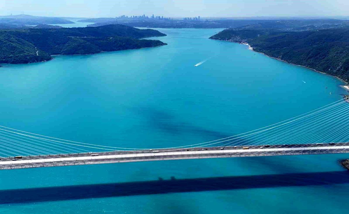 Turkuaza dönen İstanbul boğazında yunuslar akın etti