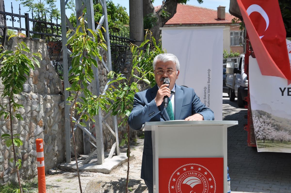 Akşehir'de kiraz fidanı dağıtıldı