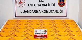 Alanya'da bir otelde uyuşturucu ele geçirilmesiyle ilgili yakalanan şüpheli tutuklandı