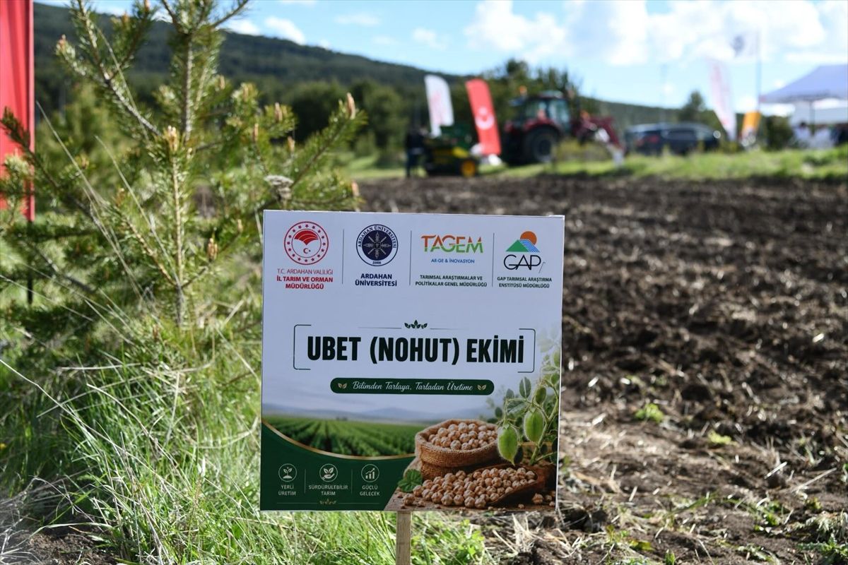 Ardahan Üniversitesi kampüsünde mercimek ve nohut ekimi yapıldı
