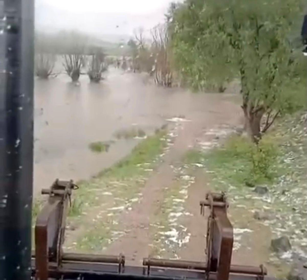 Bolu'da sağanak yağış dereleri taşırdı: Bahçe ve ahırlar sular altında kaldı