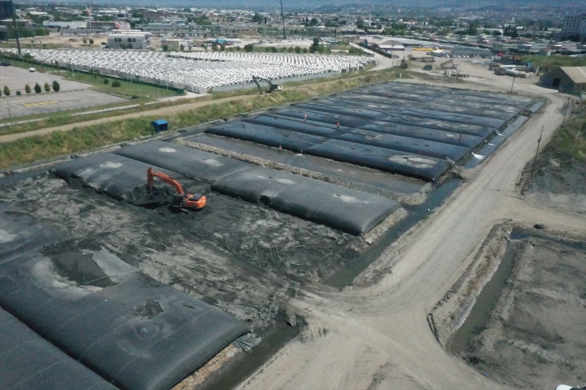 Dip çamurundan temizlenen İzmit Körfezi'nde canlılar yeniden hayat buluyor