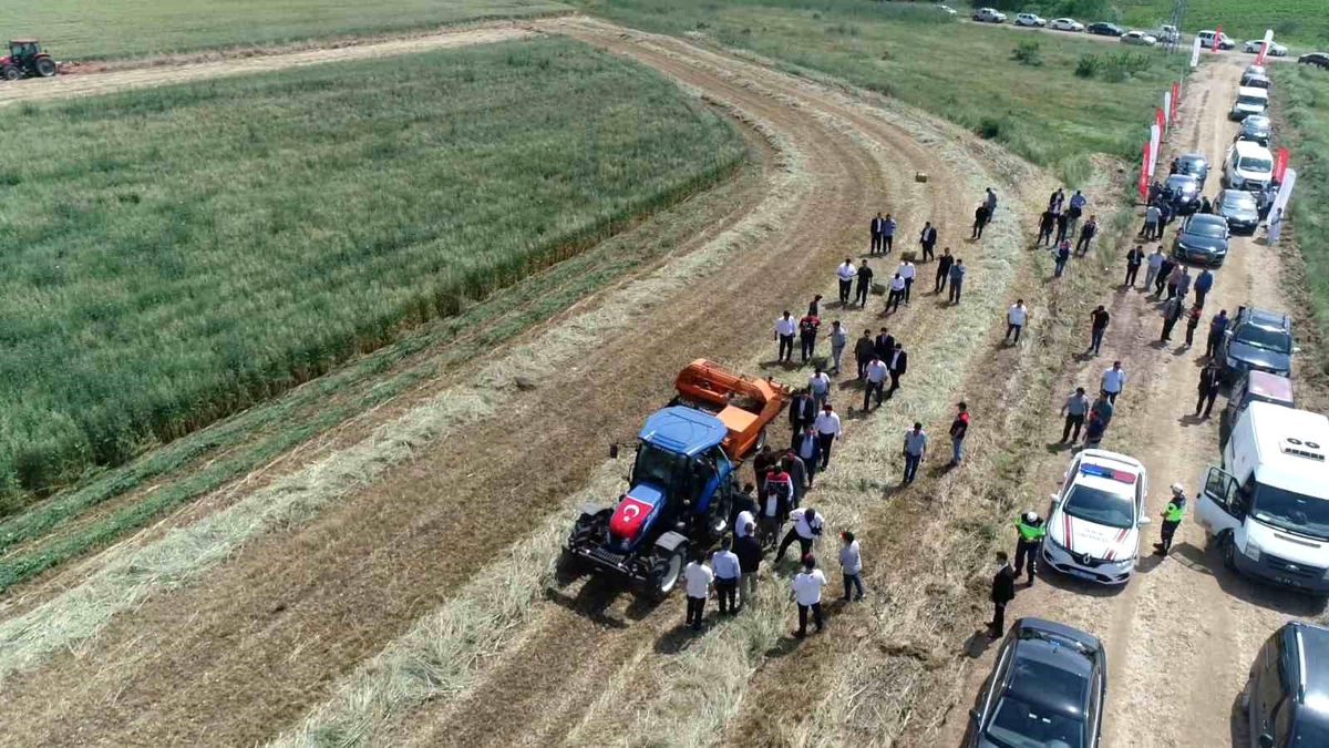 Edirne'de meralarda yeni model: Üretimden elde edilen gelir yine meraya yatırılacak
