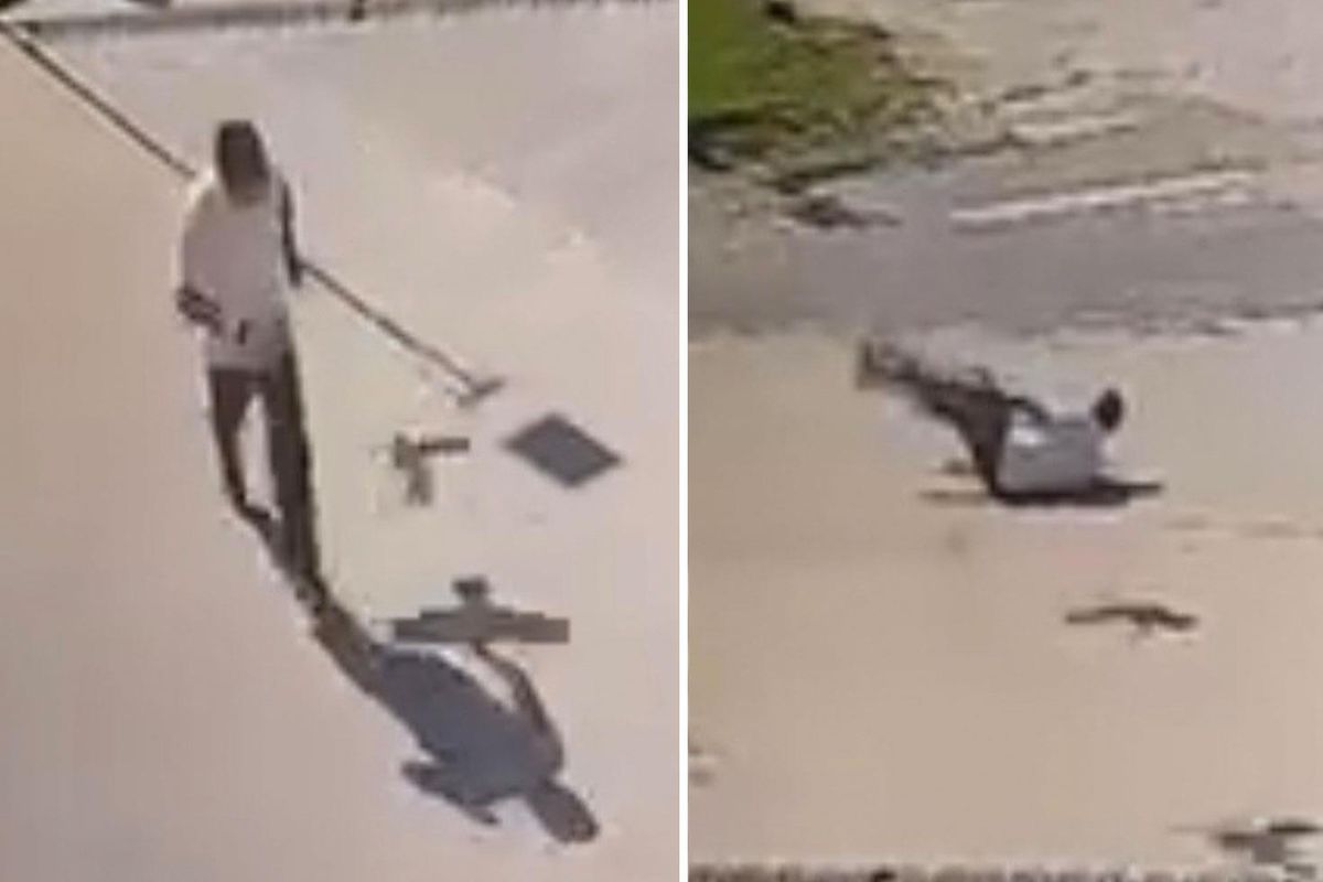 Kendisine saldıran kargadan kaçarken taklalar attı