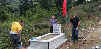 Espiye'de Şehit Mezarlığı ve Çocuk Edebiyatı Şenliği