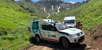Hakkari'de yılanın ısırdığı kişi tedavi altına alındı