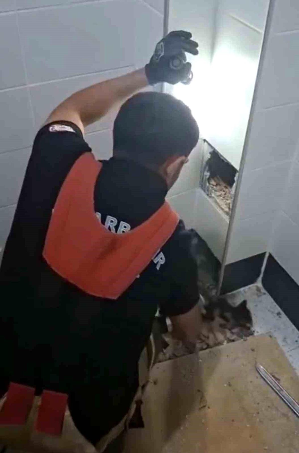 İtfaiye erleri havalandırma boşluğunda kalan kedi için seferber oldu