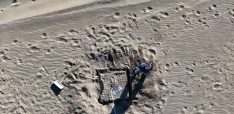 İztuzu Sahili'ndeki caretta caretta yuva sayısı 100'e ulaştı