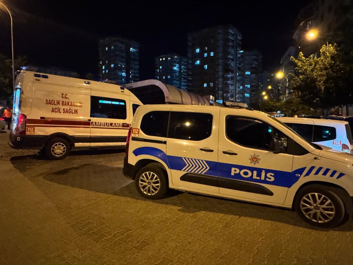 Kavgayı ayırmaya çalışan annesinin ölümüne neden oldu (2)-