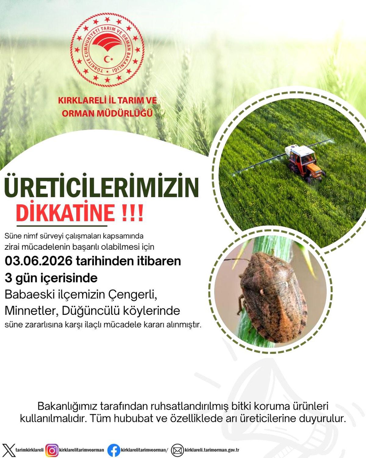 Kırklareli'nde süne zararlısına karşı ilaçlama uyarısı