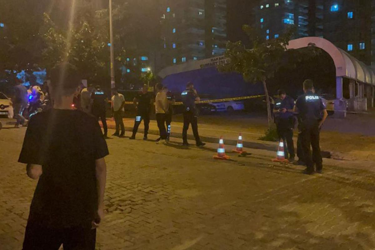 Şanlıurfa'da silahlı kavga! Anne hayatını kaybetti, oğlu yaralandı