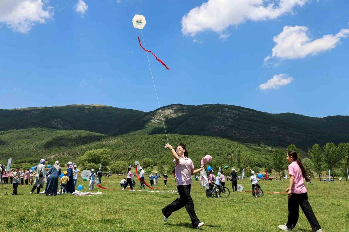 Bilecik'te gökyüzü uçurtmalarla renklendi