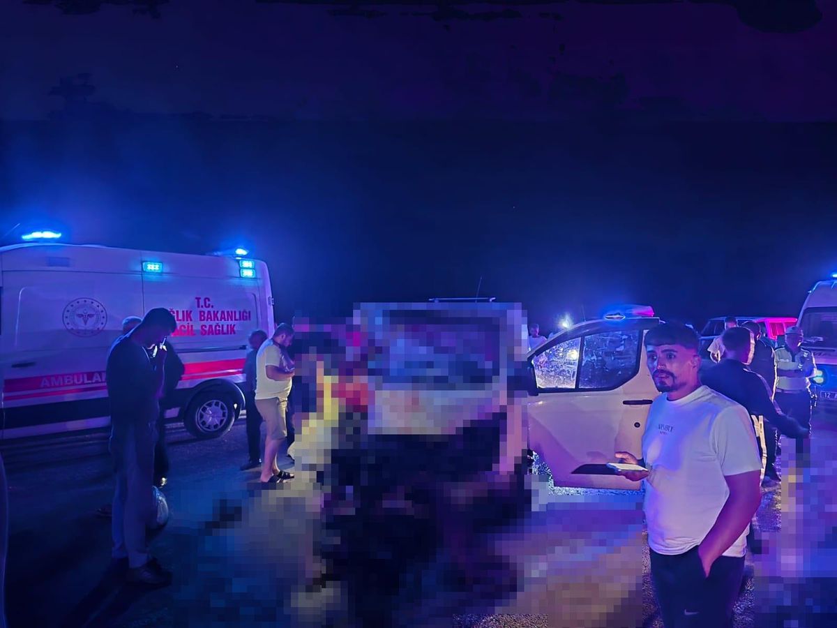 Minibüs, yola çıkan ata çarptı; 1 ölü, 2 yaralı