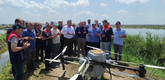 Edirne'de dronla 125 dekarlık arazide çeltik ekimi yapıldı