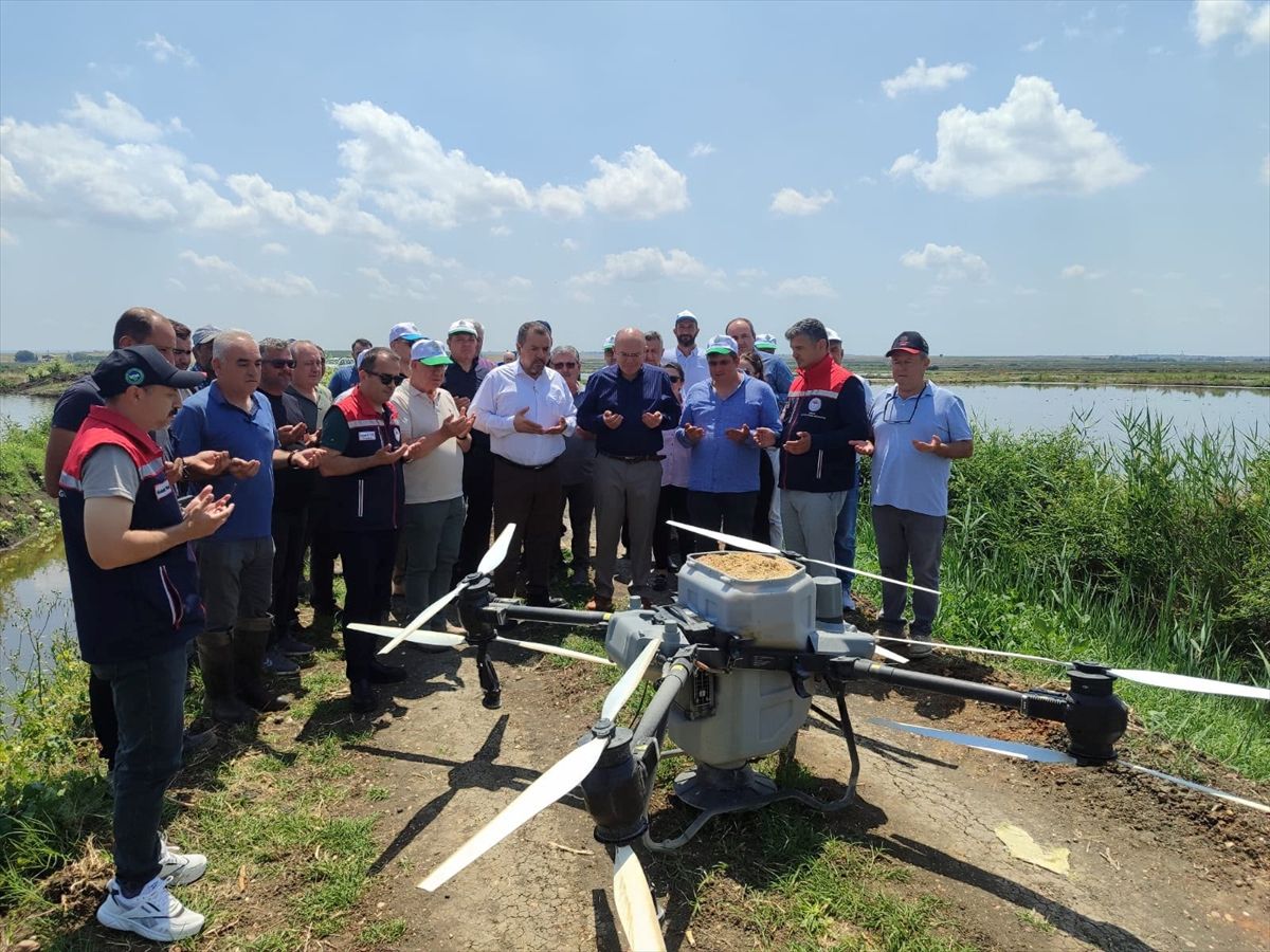 Edirne'de dronla 125 dekarlık arazide çeltik ekimi yapıldı