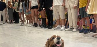 'Emma Sevimli Köpek' filmi sinemaseverlerle buluştu