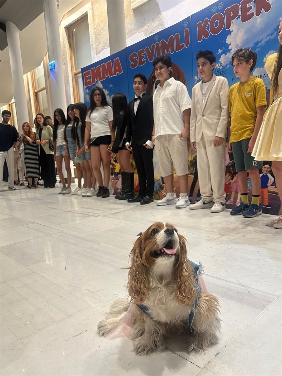 'Emma Sevimli Köpek' filmi sinemaseverlerle buluştu