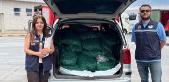 Kapıkule'de 840 kilogram kum midyesi ele geçirildi