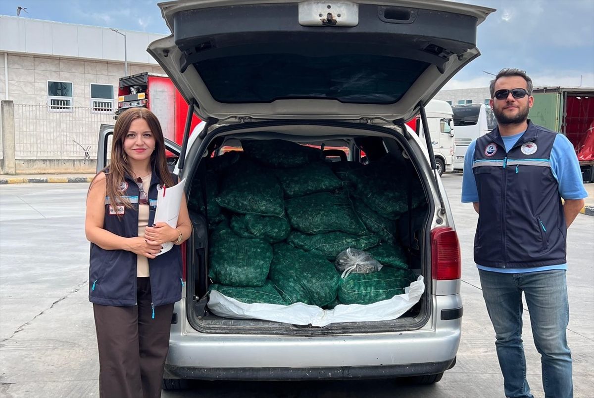 Kapıkule'de 840 kilogram kum midyesi ele geçirildi