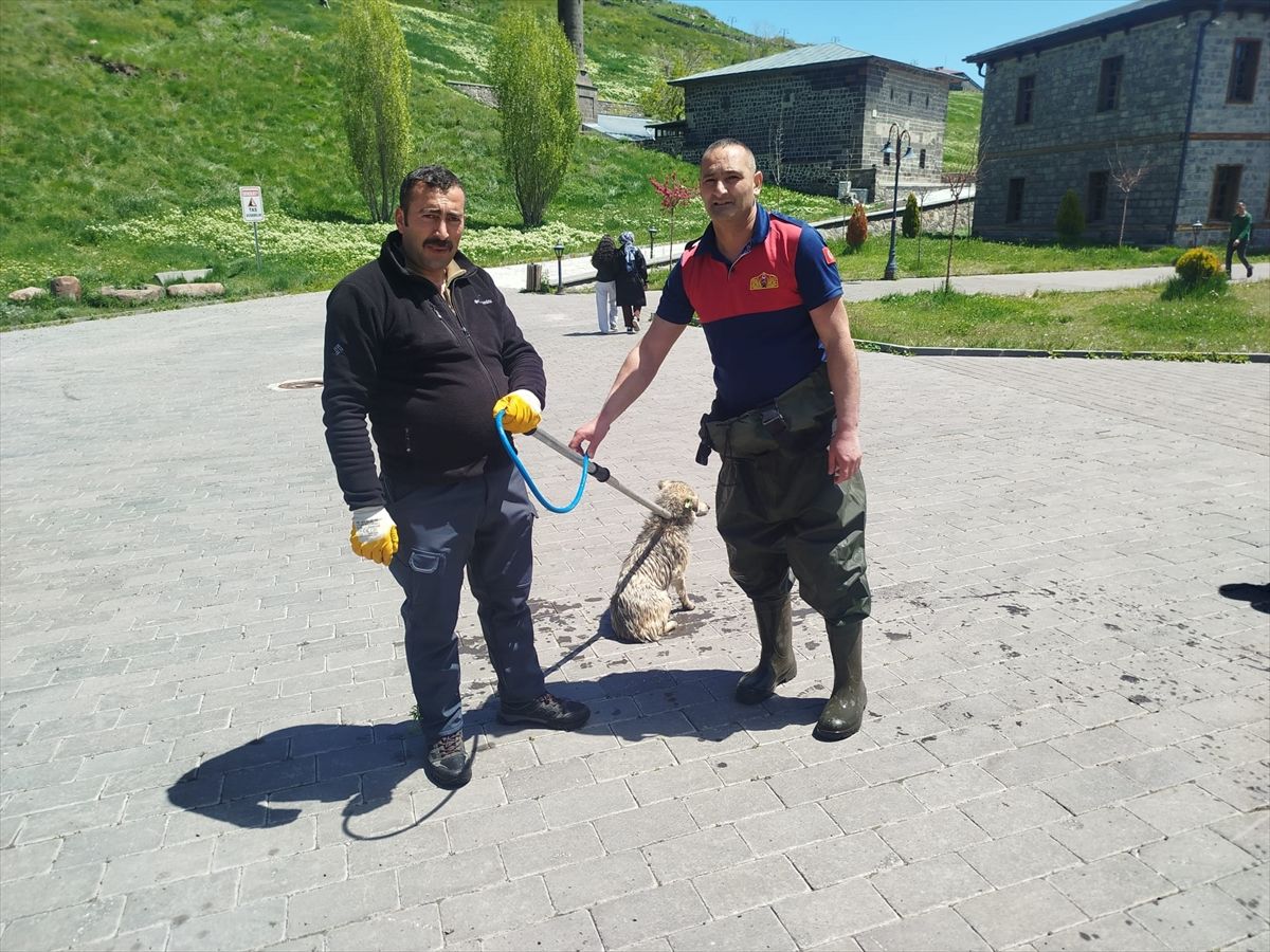 Kars Çayı'na düşen köpeği itfaiye kurtardı