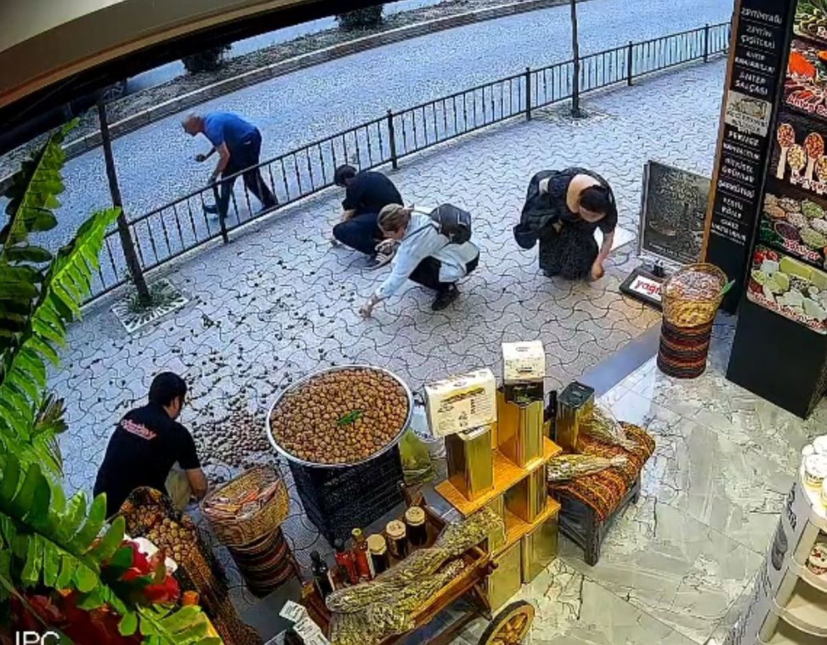 'Sakar' kedinin devirdiği cevizleri hep birlikte topladılar
