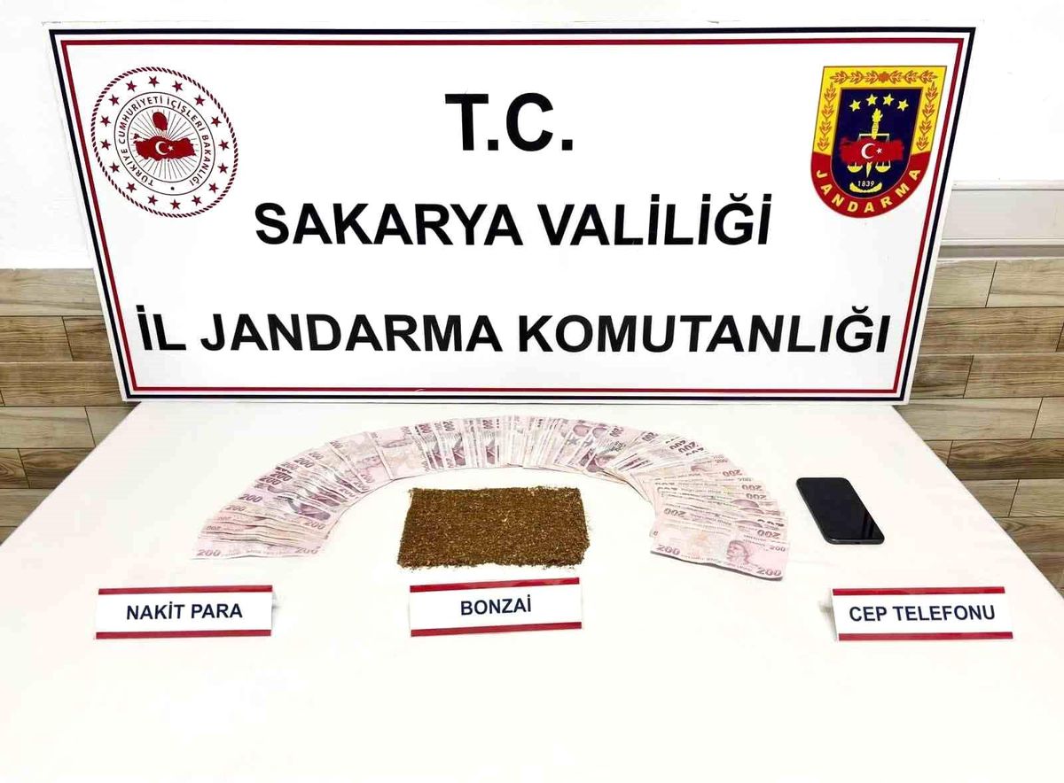 Sakarya'da 3 ilçede uyuşturucu operasyonu: 4 tutuklama