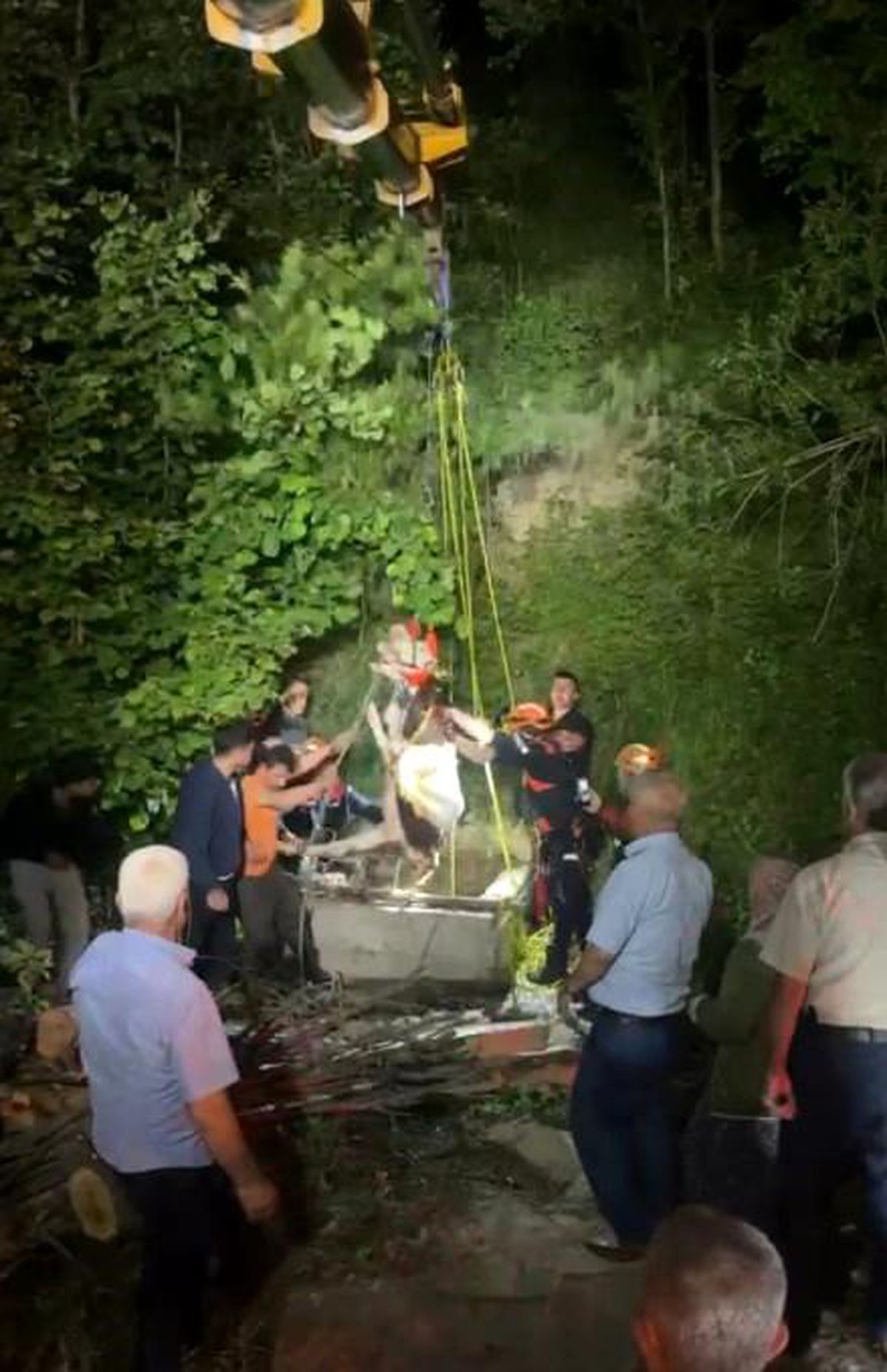 Su kuyusuna düşen inek, saatler süren çalışma sonrasında kurtarıldı