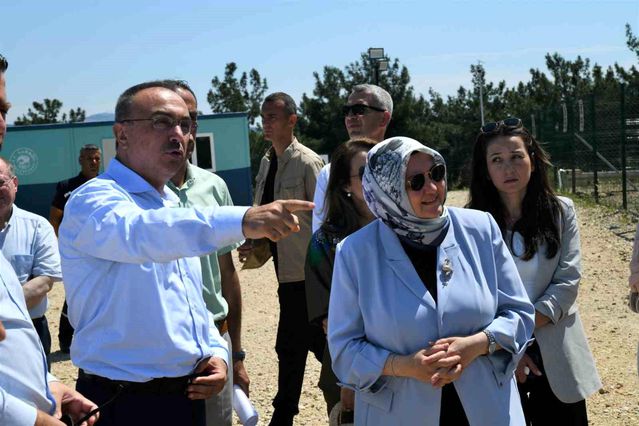 Tekirdağ Valisi Soytürk, Şarköy'deki sahipsiz hayvan doğal yaşam alanını inceledi