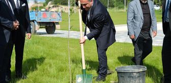 TOGÜ'de çınar fidanları toprakla buluşturuldu