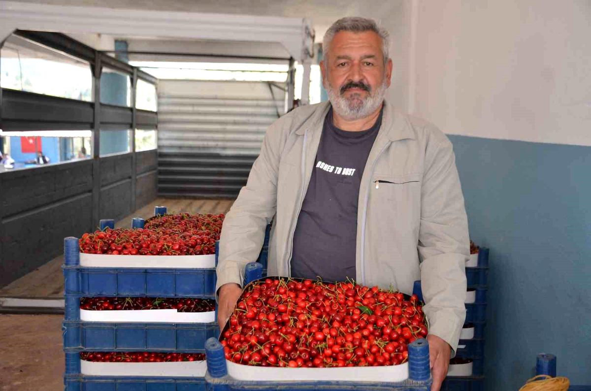 Türkiye'nin en erken kiraz yetişen ikinci ili olan Bilecik'te bu yıl rekolte yüzleri güldürdü
