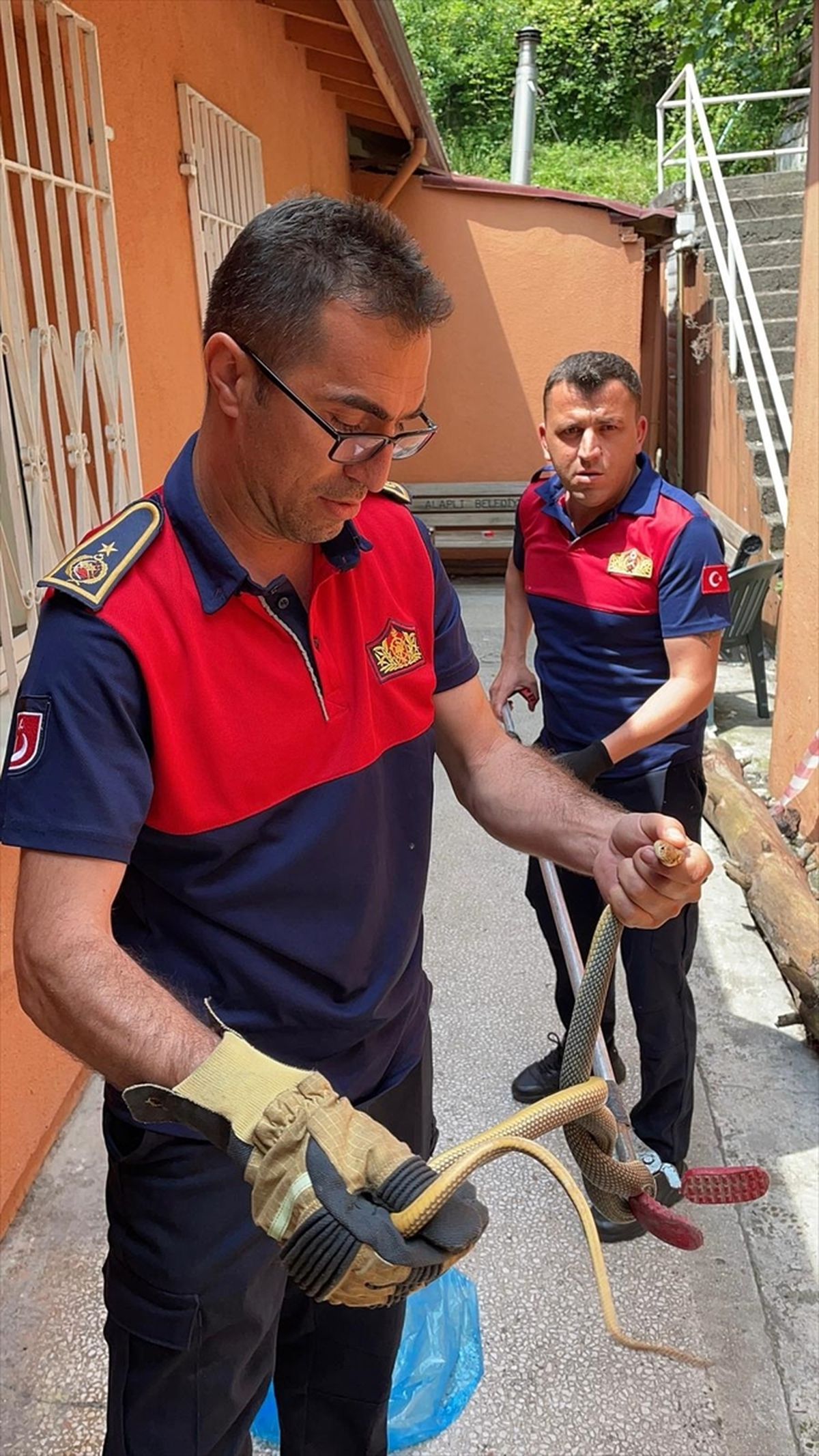Zonguldak'ta Aile Sağlığı Merkezi'ne giren yılanı itfaiye çıkardı