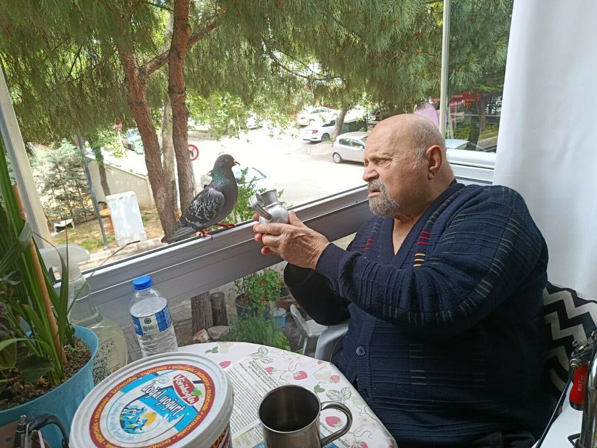 İzmir'de Kemal Gökduman, beslediği engelli güvercinle görülüyor.