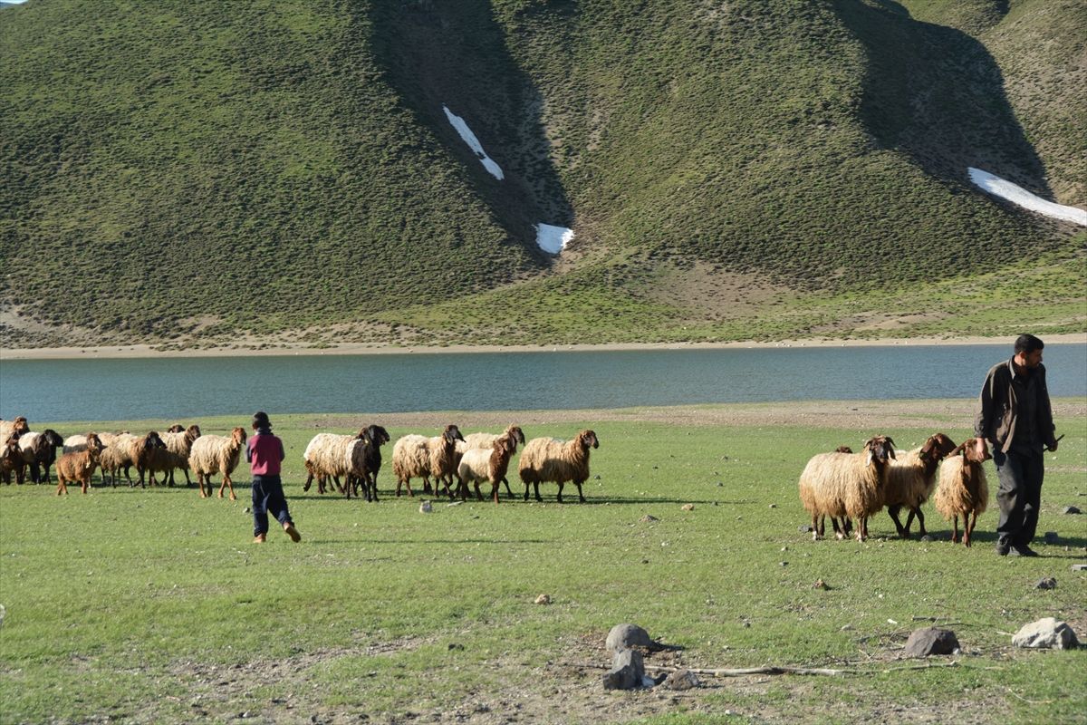 Bitlis'te yaylalar göçerleri ağırlamaya başladı