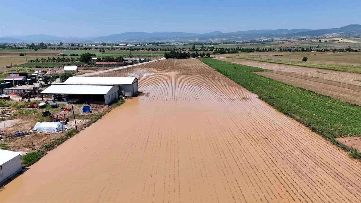 Bursa Yenişehir'de sel ve dolu felaketi