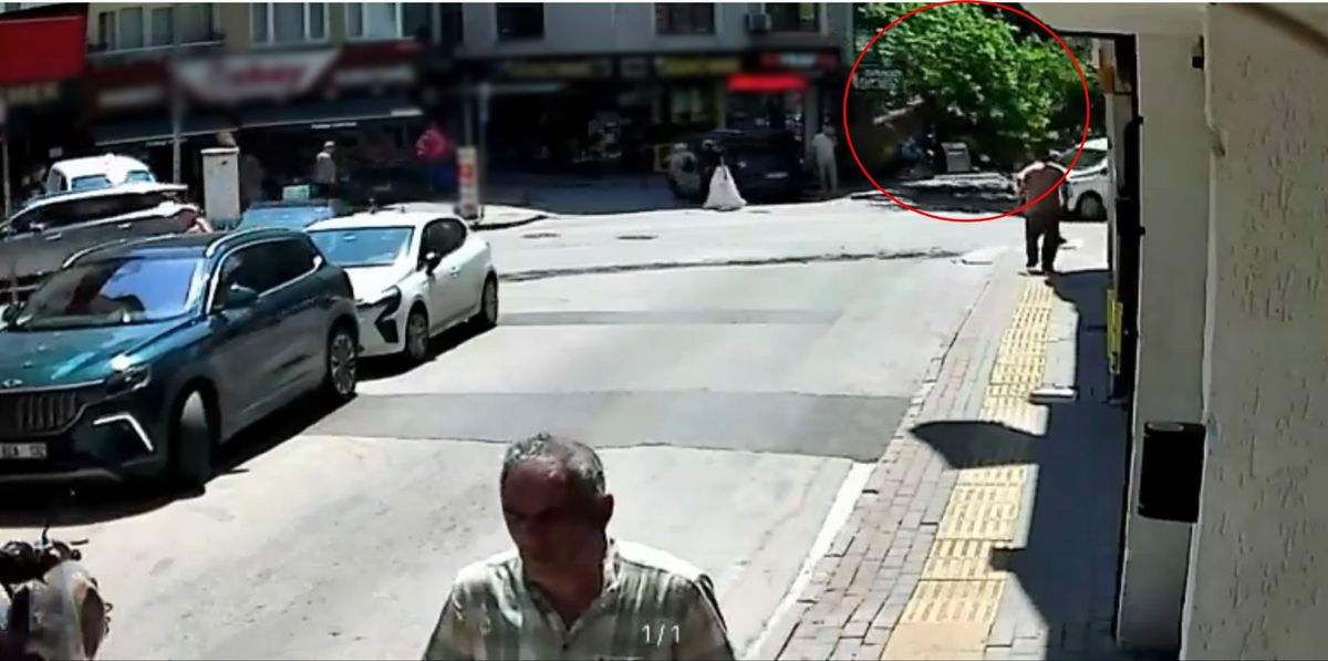 Devrilen tarihi çınar araca zarar verdi; yol trafiğe kapandı