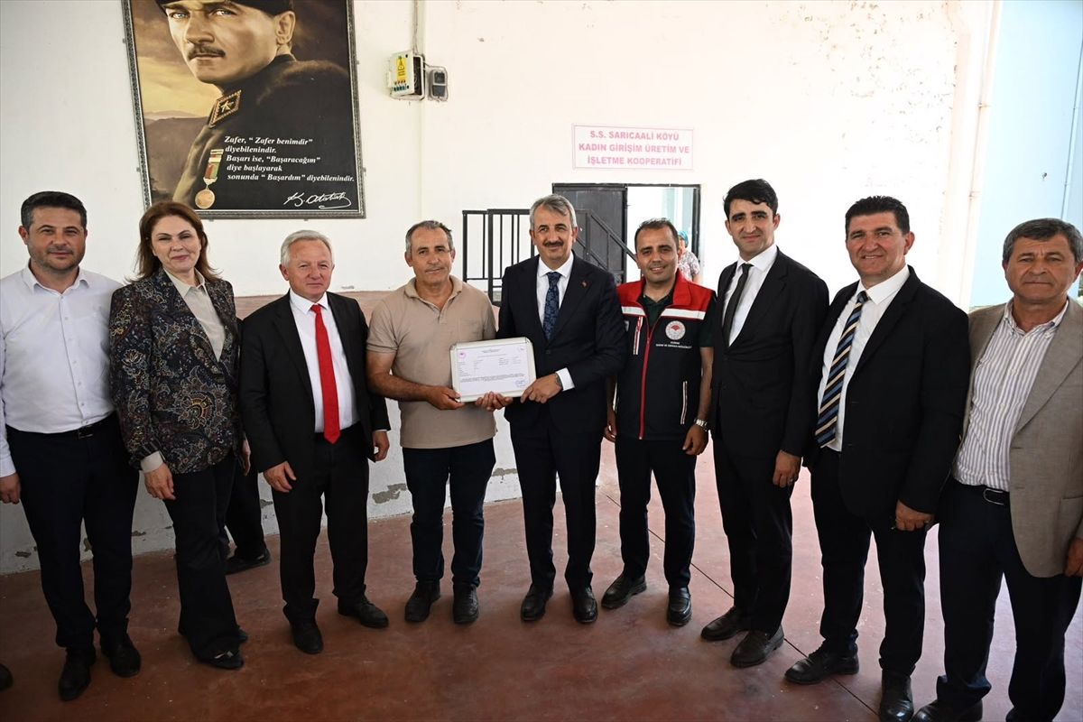 Edirne'de hastalıktan ari işletme sayısı artıyor