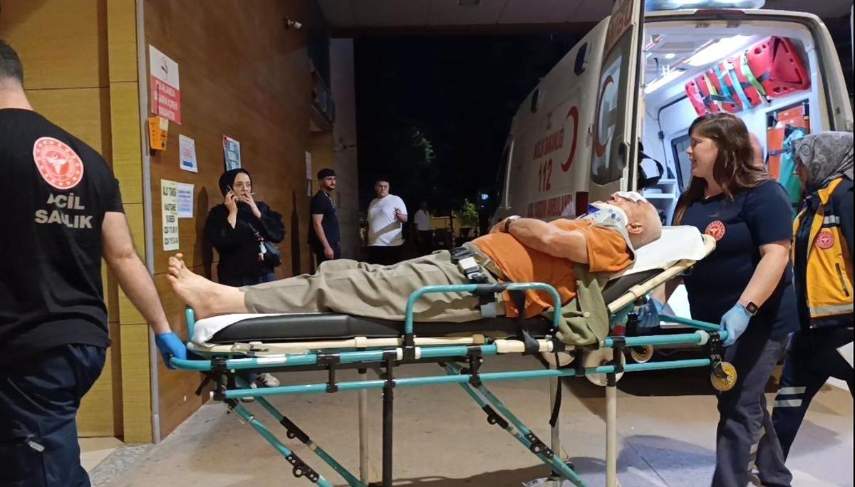 Erik toplamak için çıktığı ağaçtan düşerek yaralandı
