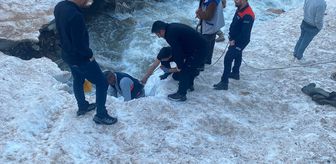 Hakkari'de kar kütlesinin altında mahsur kalan ineği ekipler kurtardı