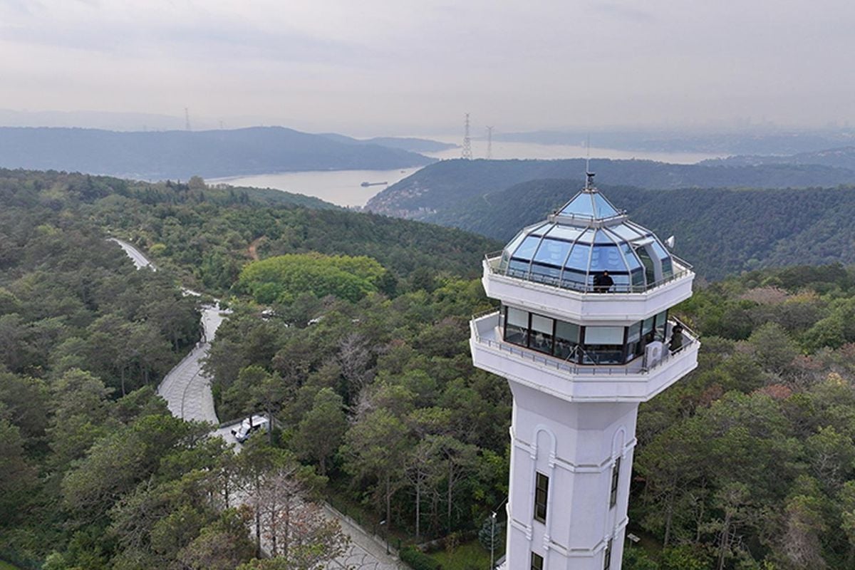 İstanbul'da ormanlara girişler 15 Ekim'e kadar yasaklandı