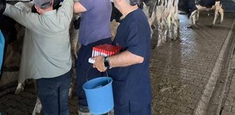 Keşan'da hastalıktan ari işletmeler denetlendi
