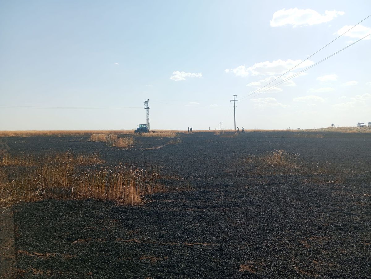 Şırnak'ta buğday tarlasında yangın; 10 dönüm zarar gördü