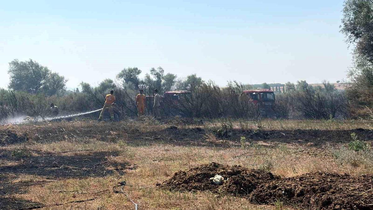 Balıkesir'de iki ayrı ilçede çıkan arazi yangınları kontrol 