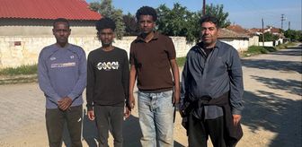 Edirne'de 32 düzensiz göçmen yakalandı