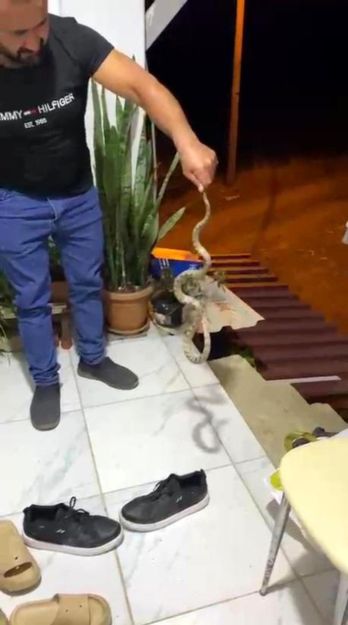 Evine giren yılanı 'Evime gelme bak, kafanı ezerim' diyerek doğaya bıraktı