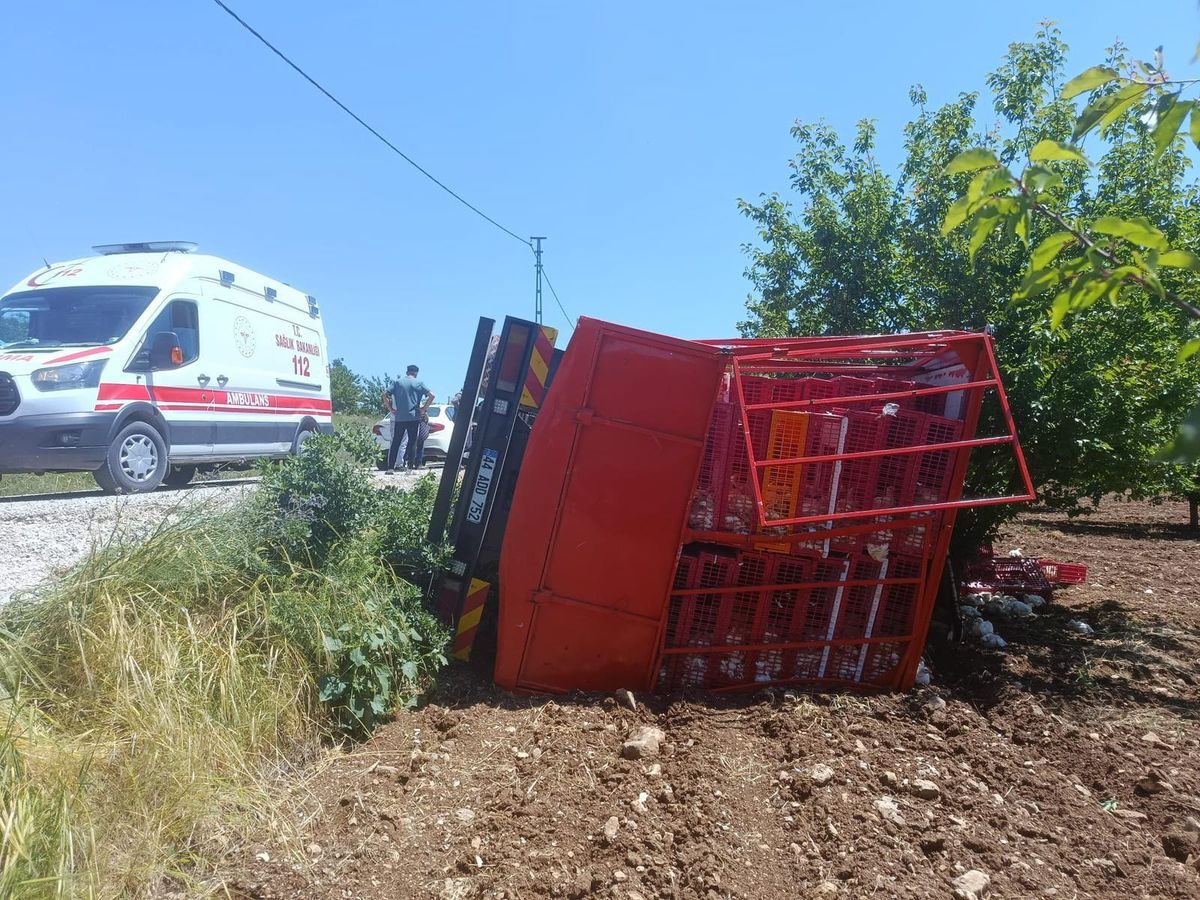 Malatya'da tavuk yüklü kamyon devrildi