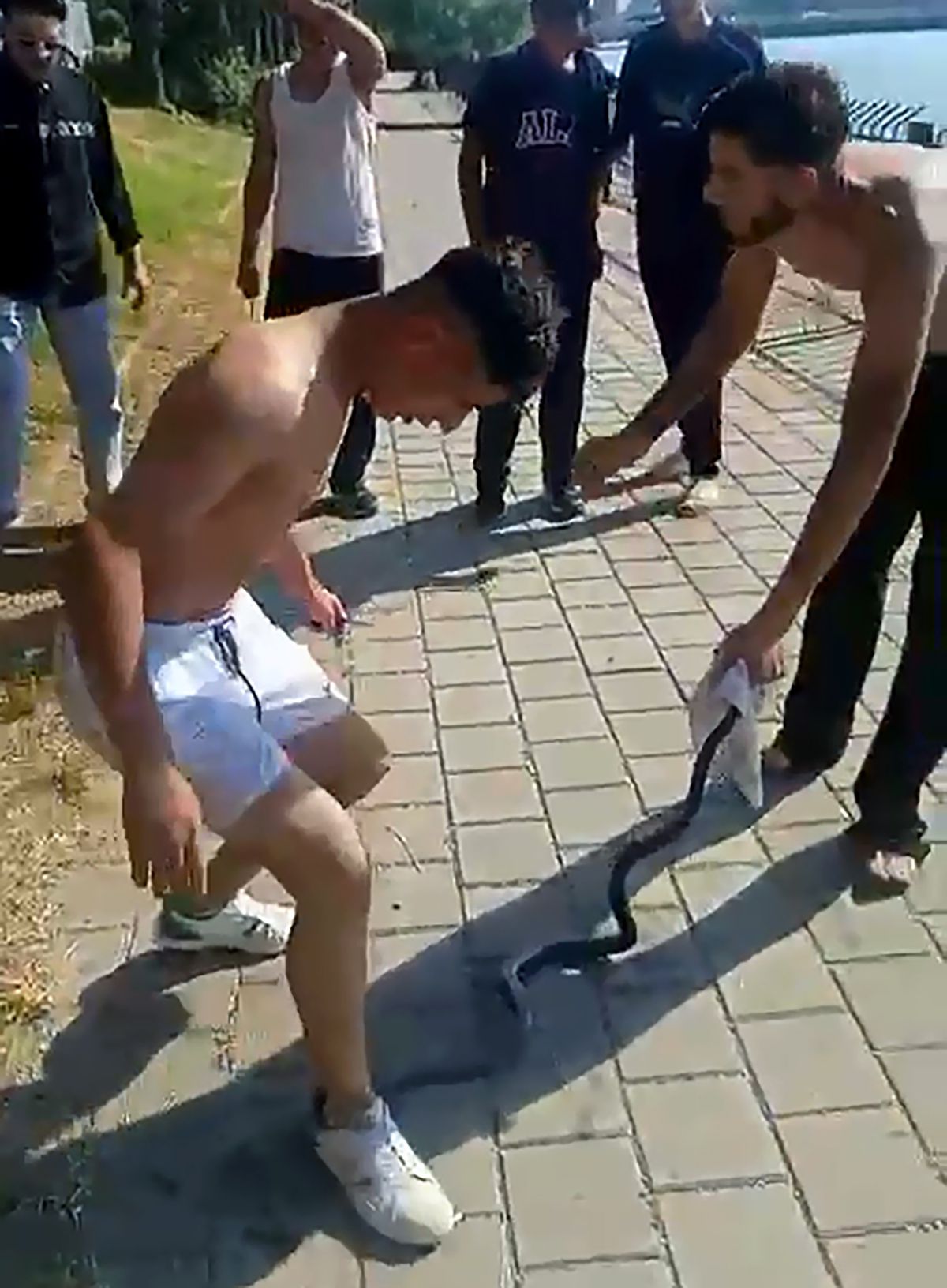 Nehirden çıkardıkları yılanın başını ezip, çakıyla keserek ö