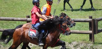 Ordu'da Geleneksel Rahvan At Yarışları düzenlendi