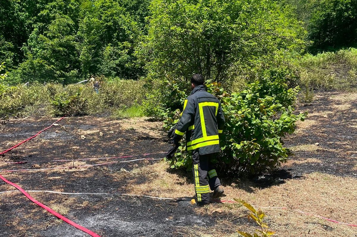Sinop'un Türkeli ilçesinde otluk alanda çıkan yangın söndürüldü.