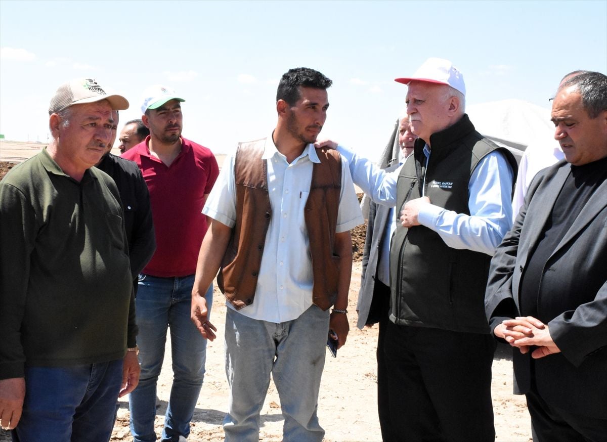 TZOB Başkanı Bayraktar: Sultanhanı'nda 25 bin dekar alan doludan zarar gördü