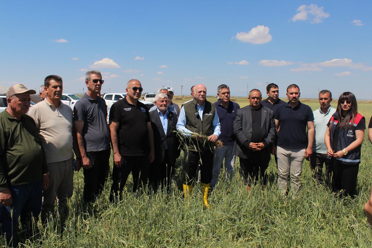 TZOB Genel Başkanı Bayraktar: Buğday rekoltesinin 23 milyon 